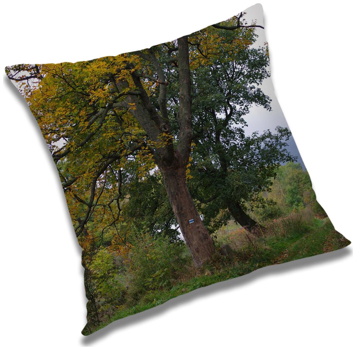 https://assetscdn1.paytm.com/images/catalog/product/H/HO/HOMRADANYA-PRINRADA9934039319FCED/1563046276925_0..jpg