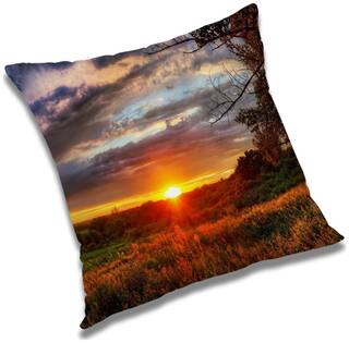 RADANYA Printed Cushion Cover with Filler Set 18x18 inch