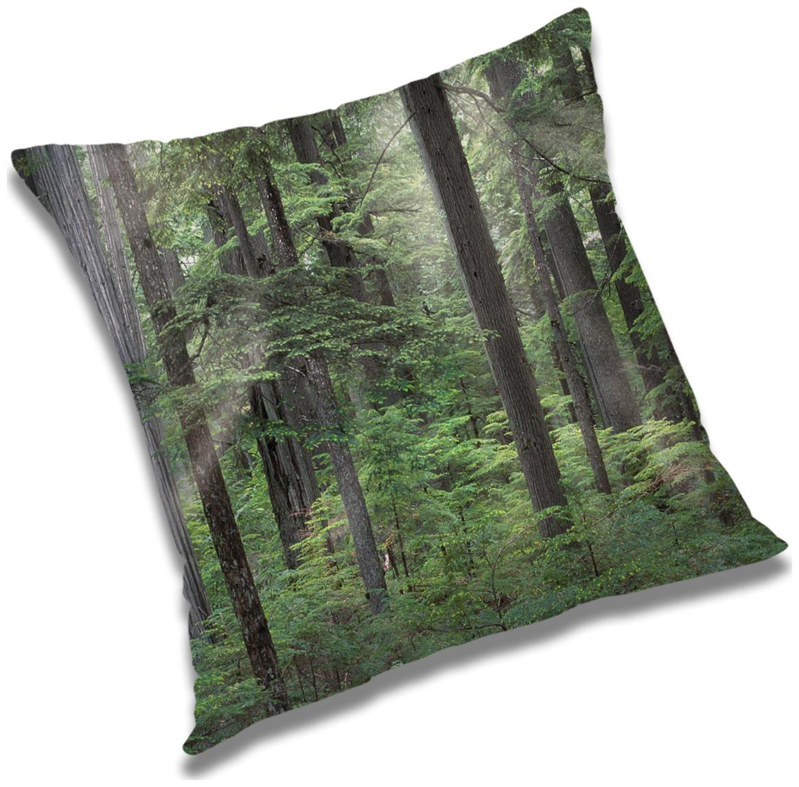 https://assetscdn1.paytm.com/images/catalog/product/H/HO/HOMRADANYA-PRINRADA99340394D3953B/1563045898432_0..jpg
