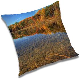 RADANYA Printed Cushion Cover with Filler Set 24x24 inch