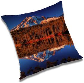 RADANYA Printed Cushion Cover with Filler Set 12x12 inch