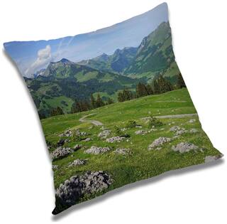 RADANYA Printed Cushion Cover with Filler Set 16x16 inch