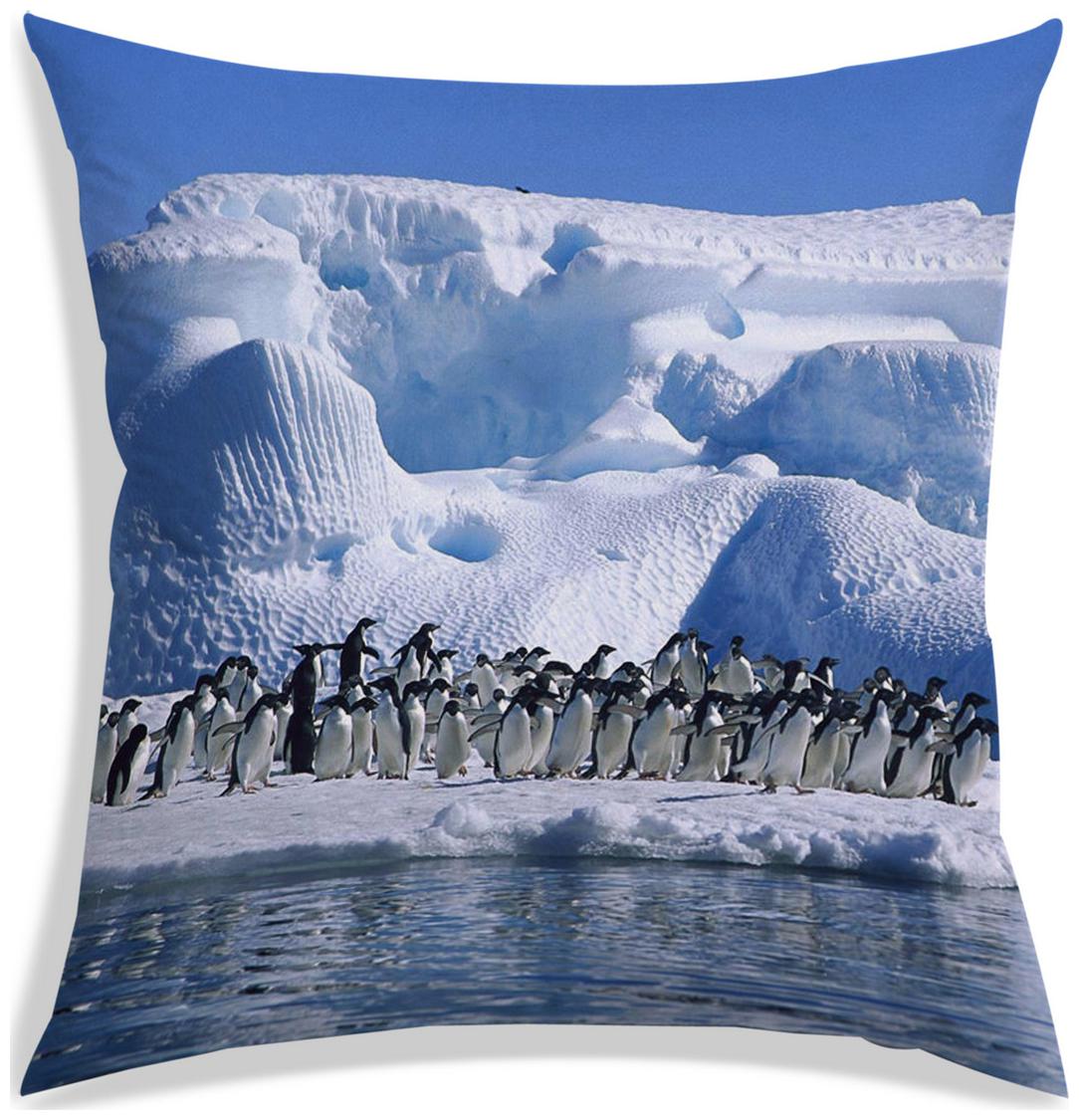 https://assetscdn1.paytm.com/images/catalog/product/H/HO/HOMRADANYA-PRINRADA993403973229C6/1563046420029_0..jpg