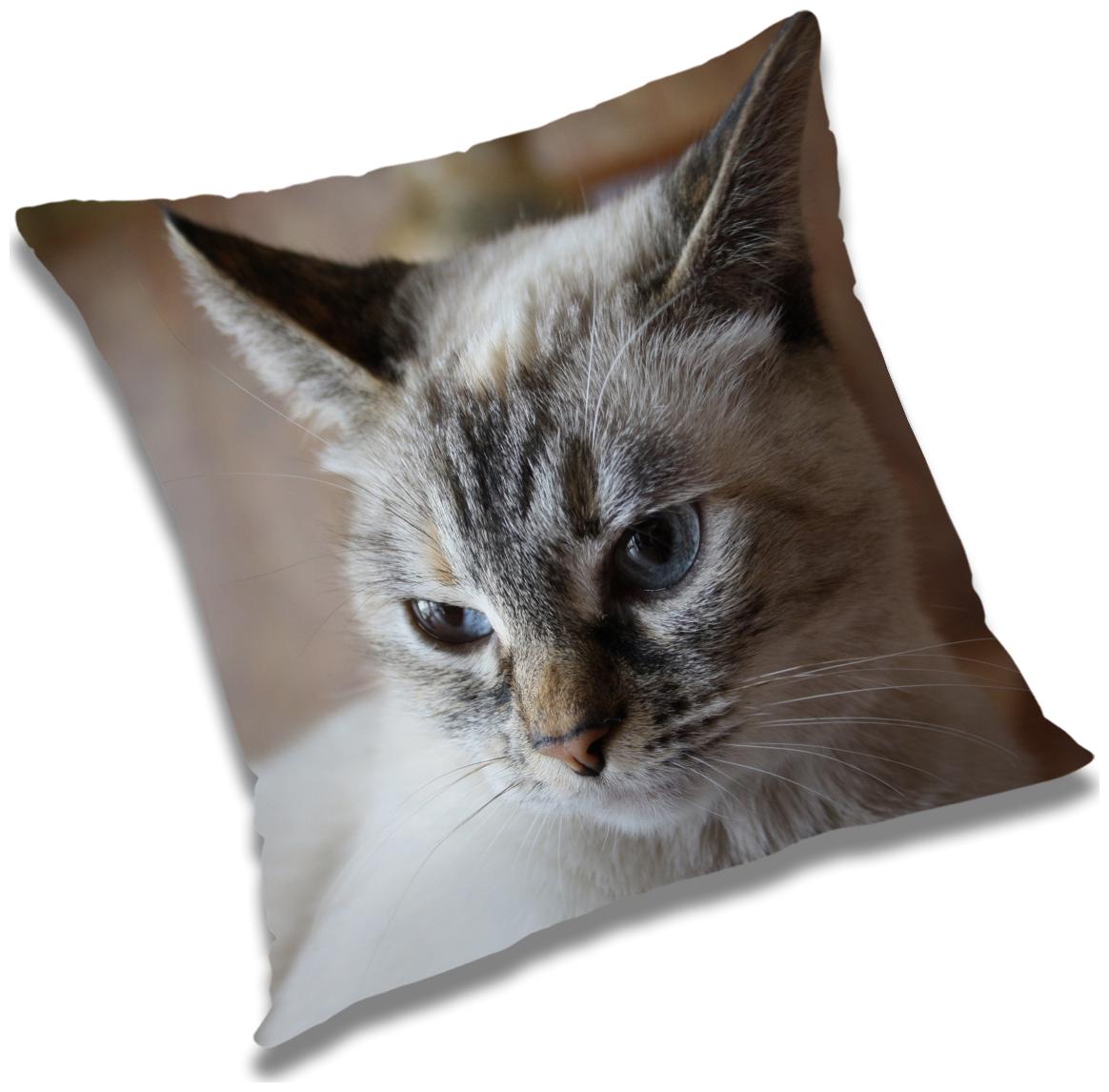 

RADANYA Printed Cushion Cover with Filler Set 16x16 inch