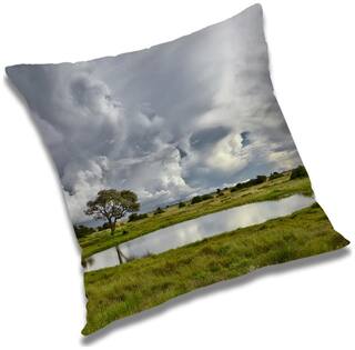RADANYA Printed Cushion Cover with Filler Set 16x16 inch