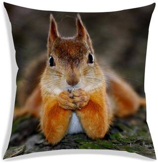 RADANYA Printed Polyester Peach Cushion Cover ( Large , Pack of 1 )