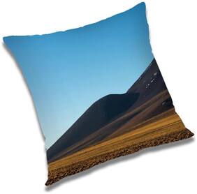 RADANYA Printed Cushion Cover with Filler Set 24x24 inch