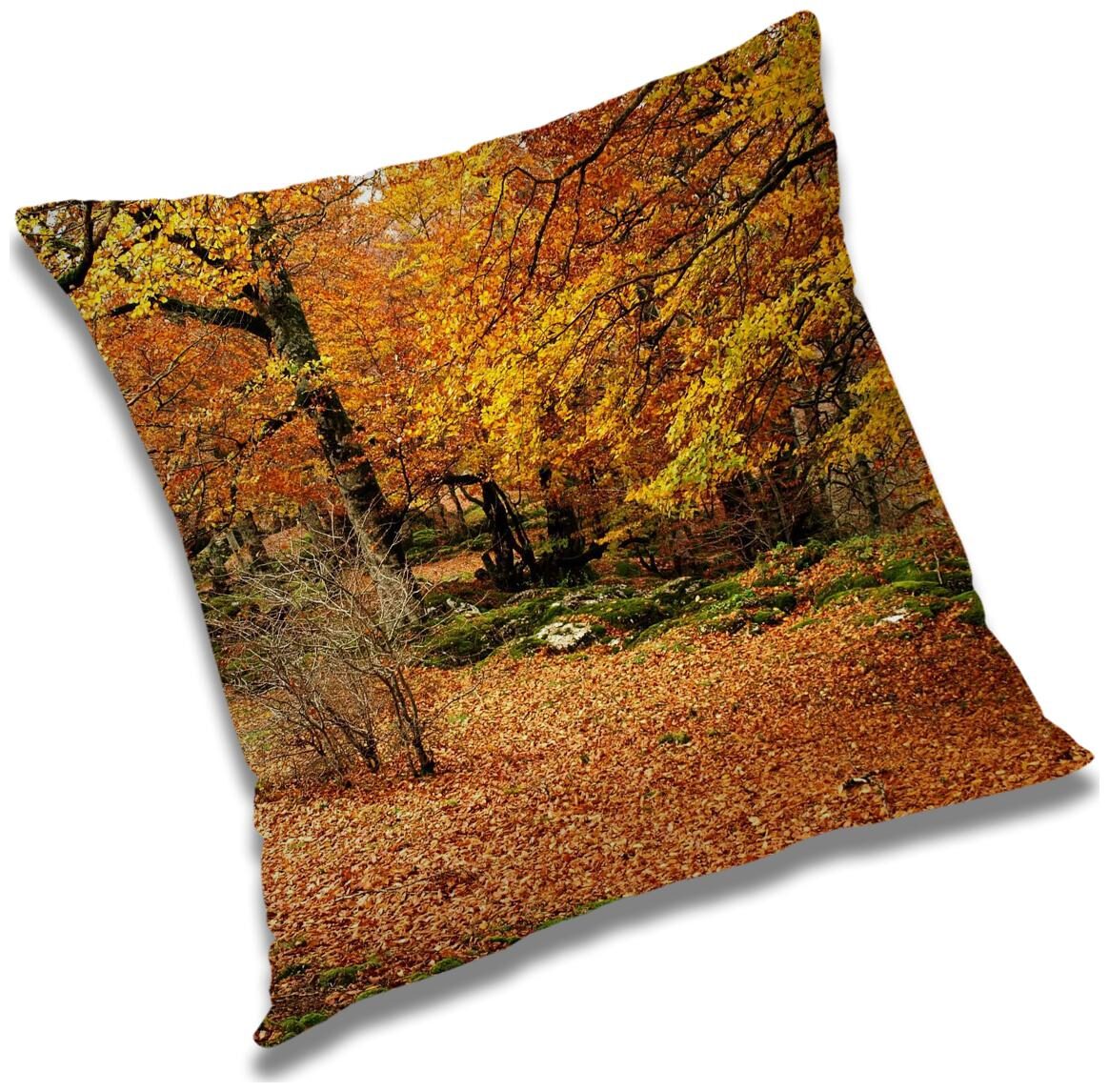 https://assetscdn1.paytm.com/images/catalog/product/H/HO/HOMRADANYA-PRINRADA9934039E42B0A2/1563118404069_0..jpg