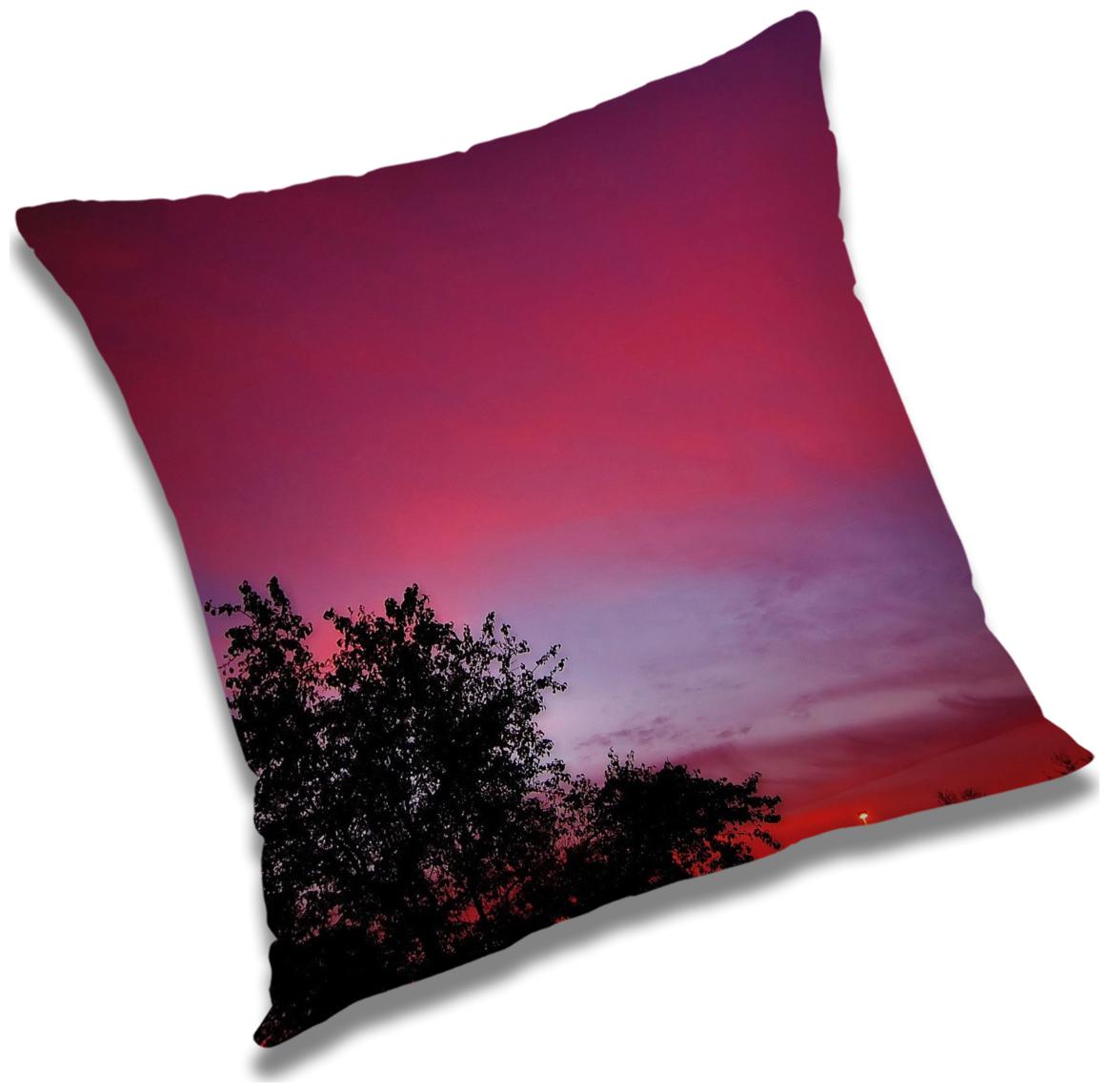 

RADANYA Printed Cushion Cover with Filler Set 12X12 inch