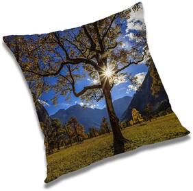 RADANYA Printed Cushion Cover with Filler Set 20x20 inch