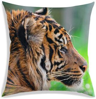 RADANYA Printed Polyester Brown Cushion Cover ( Small , Pack of 1 )