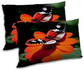RADANYA Polyester Printed Pillow Covers ( Pack of 2 , Multi )