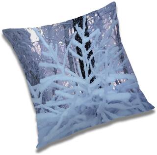 RADANYA Printed Cushion Cover with Filler Set 18x18 inch