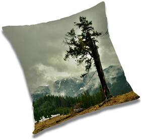 RADANYA Printed Cushion Cover with Filler Set 24x24 inch