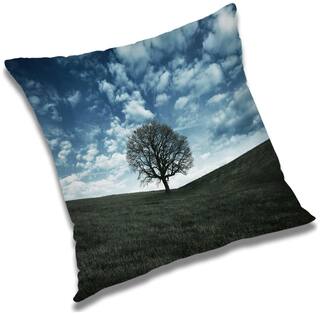 RADANYA Printed Cushion Cover with Filler Set 20x20 inch