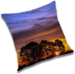 RADANYA Printed Cushion Cover with Filler Set 24x24 inch