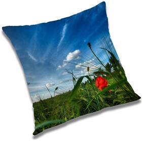 RADANYA Printed Cushion Cover with Filler Set 16x16 inch