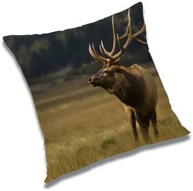 RADANYA Printed Cushion Cover with Filler Set 12x12 inch