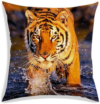 RADANYA Printed Cushion Cover 12x12 inch