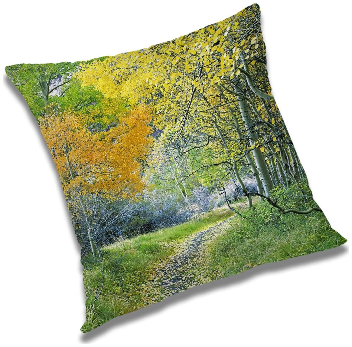 https://assetscdn1.paytm.com/images/catalog/product/H/HO/HOMRADANYA-PRINRADA993403A91E64C9/1563047227698_0..jpg