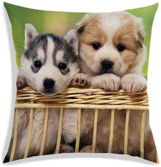 RADANYA Printed Polyester Cream Cushion Cover ( Regular , Pack of 1 )
