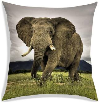 RADANYA Printed Cushion Cover 24x24 inch