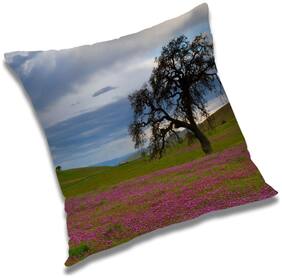 RADANYA Printed Cushion Cover with Filler Set 12x12 inch