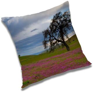 RADANYA Printed Cushion Cover with Filler Set 12x12 inch