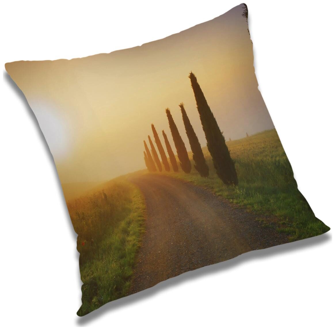 

RADANYA Printed Cushion Cover with Filler Set 12x12 inch