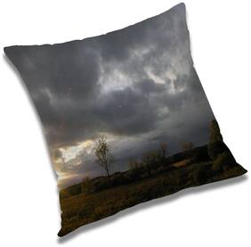 RADANYA Printed Cushion Cover with Filler Set 12x12 inch