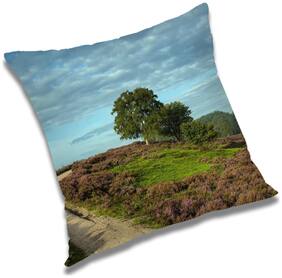 RADANYA Printed Cushion Cover with Filler Set 20x20 inch