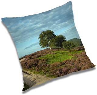 RADANYA Printed Cushion Cover with Filler Set 20x20 inch