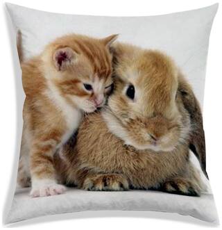 RADANYA Printed Polyester Off-white Cushion Cover ( Extra large , Pack of 1 )