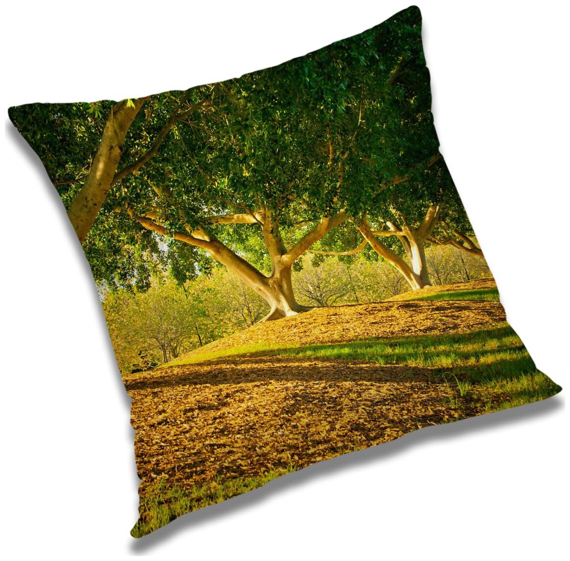 https://assetscdn1.paytm.com/images/catalog/product/H/HO/HOMRADANYA-PRINRADA993403B40F209E/1563118656190_0..jpg