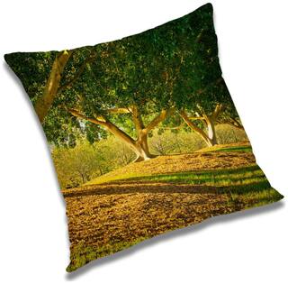RADANYA Printed Cushion Cover with Filler Set 20x20 inch