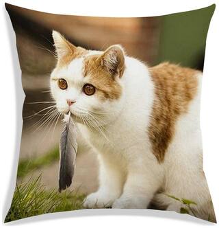 RADANYA Printed Cushion Cover 18x18 inch