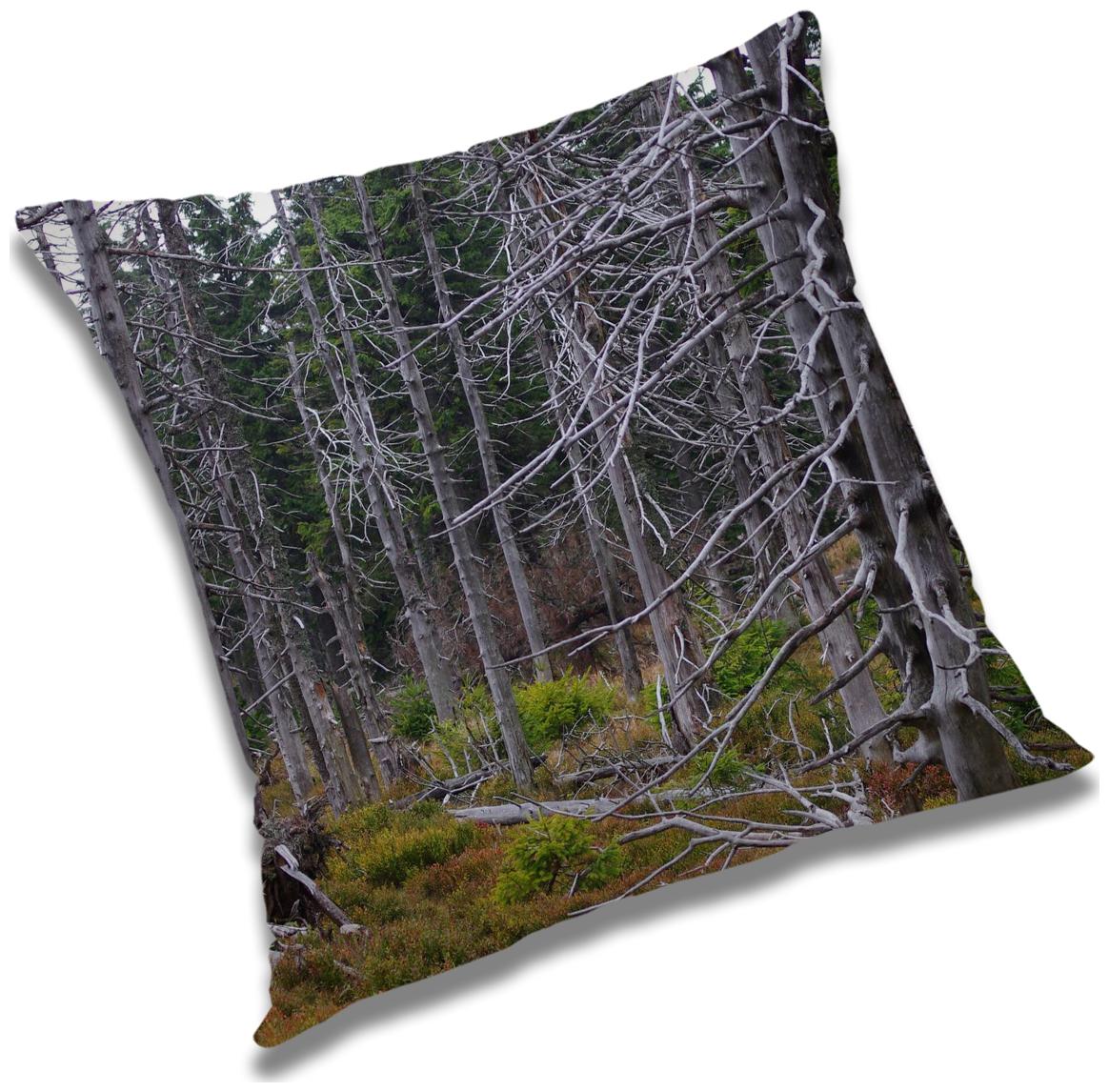 https://assetscdn1.paytm.com/images/catalog/product/H/HO/HOMRADANYA-PRINRADA993403B6760B22/1563045898767_0..jpg