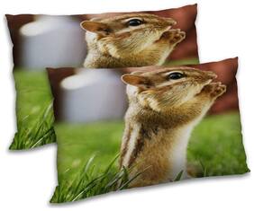 RADANYA Polyester Printed Pillow Covers ( Pack of 2 , Multi )