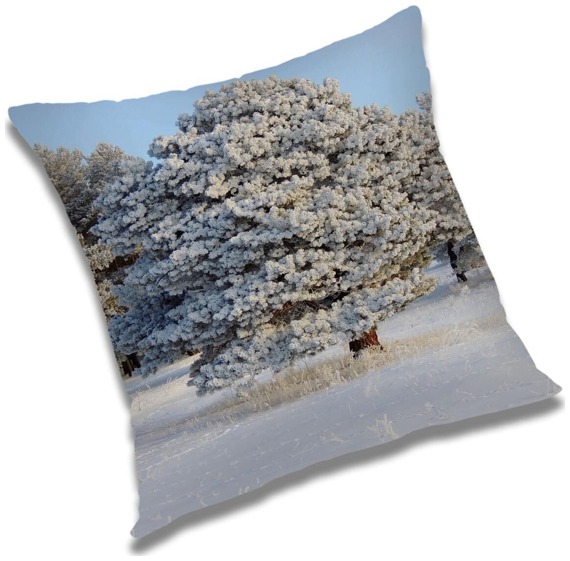 https://assetscdn1.paytm.com/images/catalog/product/H/HO/HOMRADANYA-PRINRADA993403BAF7EE91/1563107925240_0..jpg