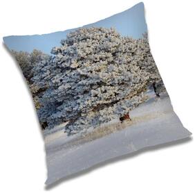 RADANYA Printed Cushion Cover with Filler Set 18x18 inch