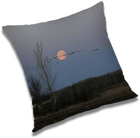 RADANYA Printed Cushion Cover with Filler Set 20x20 inch
