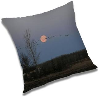 RADANYA Printed Cushion Cover with Filler Set 20x20 inch