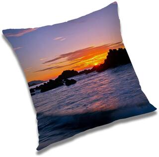 RADANYA Printed Cushion Cover with Filler Set 24x24 inch