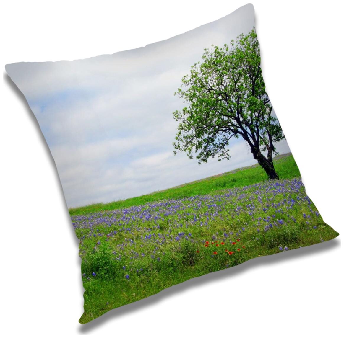 https://assetscdn1.paytm.com/images/catalog/product/H/HO/HOMRADANYA-PRINRADA993403BEDACEC2/1563119167395_0..jpg