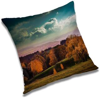 RADANYA Printed Cushion Cover with Filler Set 16x16 inch