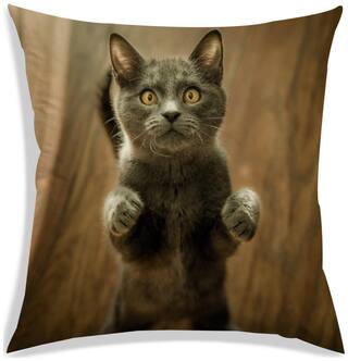 RADANYA Printed Polyester Grey Cushion Cover ( Regular , Pack of 1 )