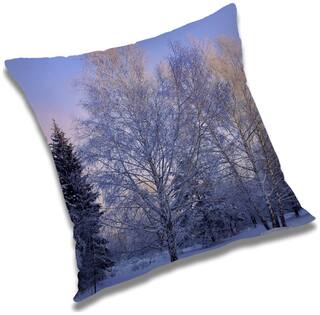 RADANYA Printed Cushion Cover with Filler Set 12x12 inch