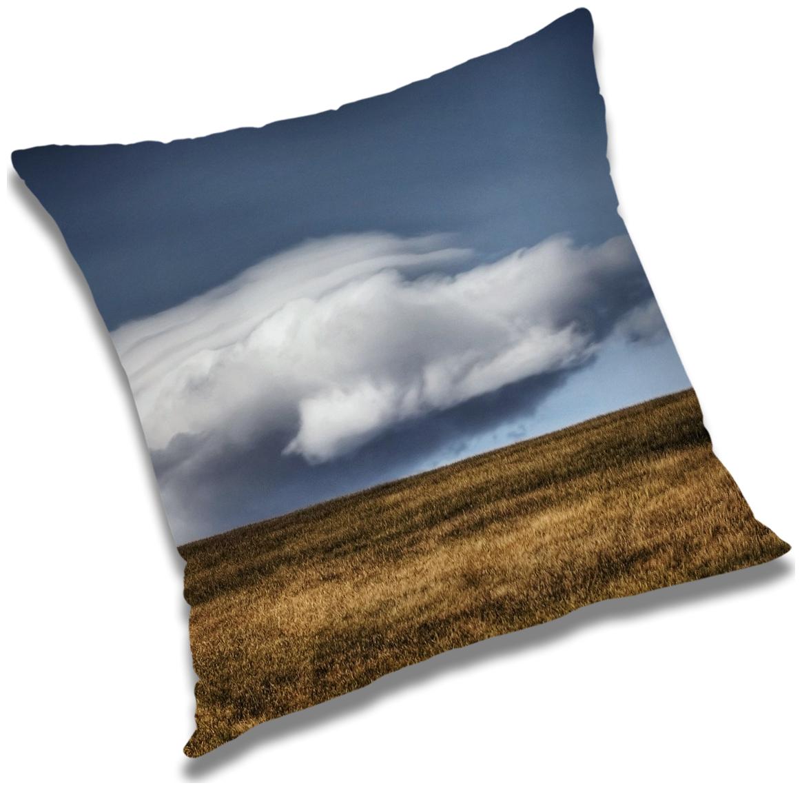 

RADANYA Printed Cushion Cover with Filler Set 16x16 inch