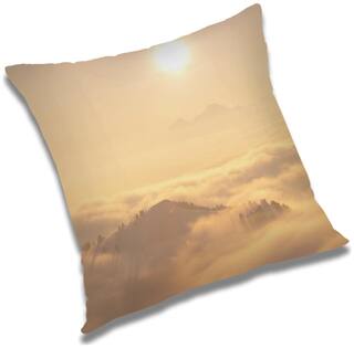 RADANYA Printed Cushion Cover with Filler Set 20x20 inch