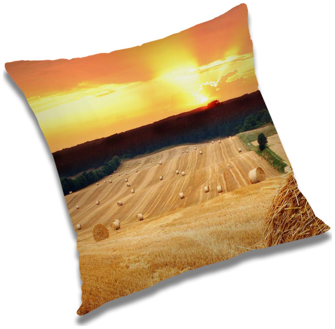 https://assetscdn1.paytm.com/images/catalog/product/H/HO/HOMRADANYA-PRINRADA993403C5AEC66F/1563046794450_0..jpg